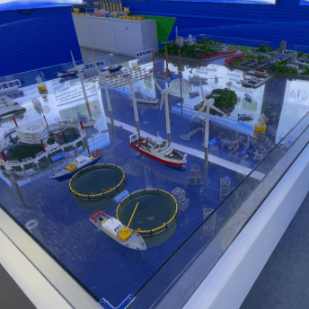 水产养殖AG真人国际·[中国]官方网站制作厂家案例